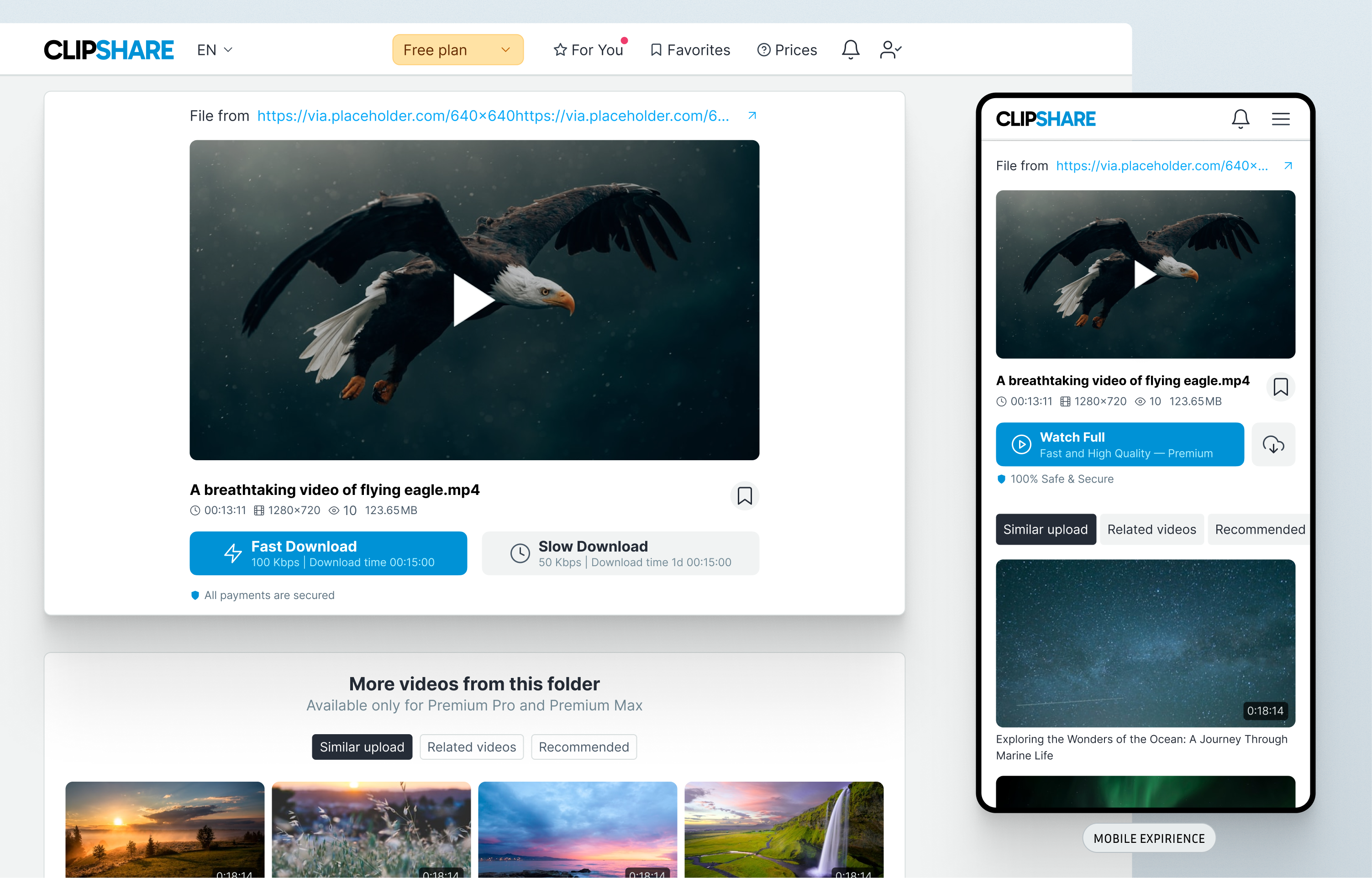 File download page — key screen 1